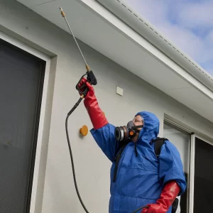 What is done to the outside of my house during the external treatment?